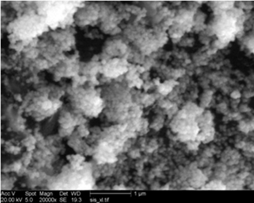 A method for synthesizing core-shell structure carbon-coated gold nanoparticles with regular spherical morphology