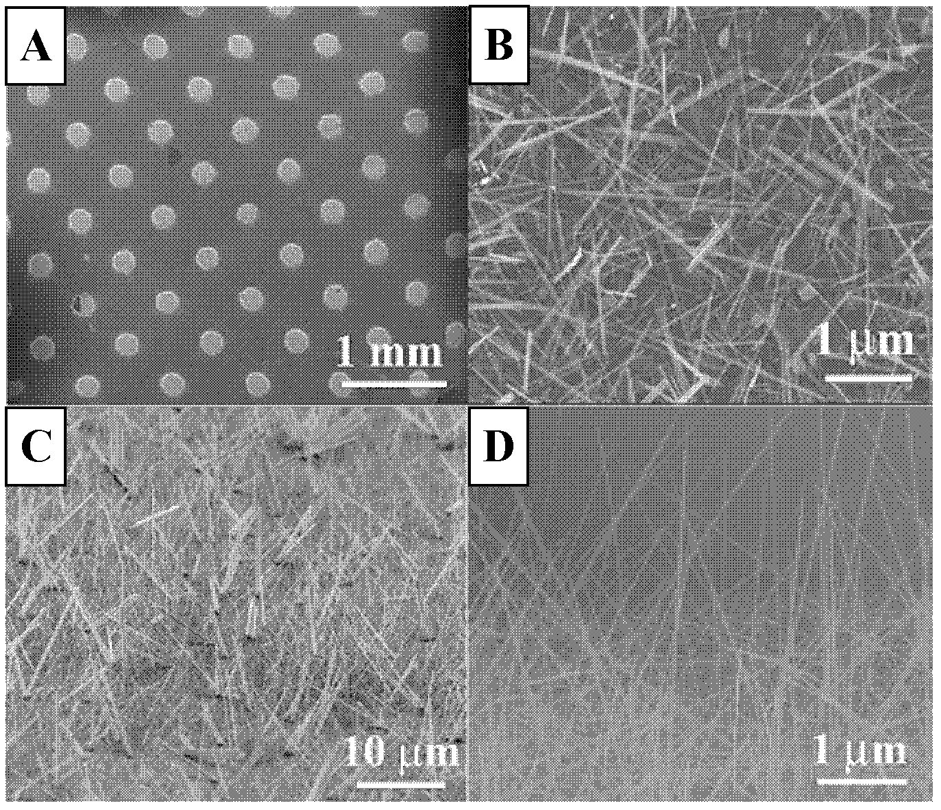 Method for controllably synthesizing single-crystal WO2 and WO3 nanowire arrays with good field emission characteristics in low temperature and large area