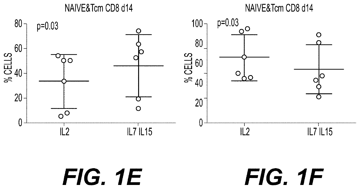 Methods of Preparing T Cells for T Cell Therapy