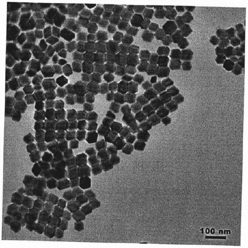 Preparation method of all-inorganic CsPbBr3 perovskite nanocrystal with controllable morphology