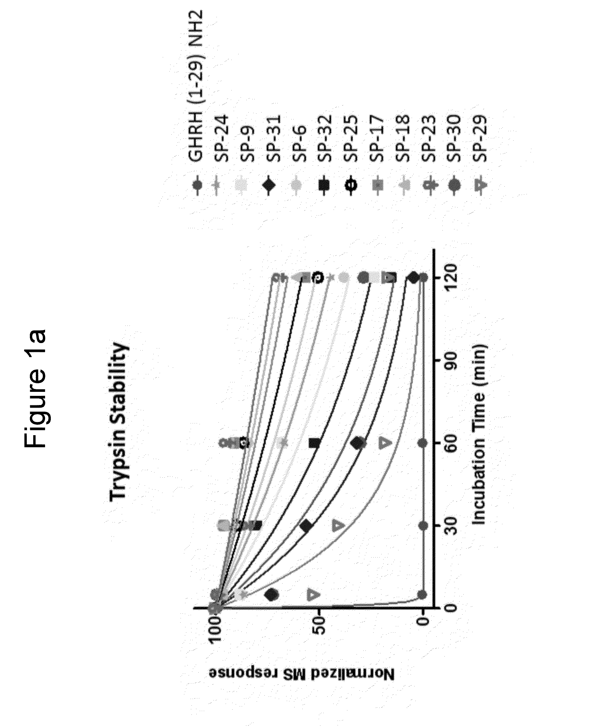 Peptidomimetic macrocycles