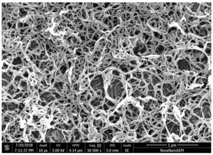 Poly-3,4-ethylenedioxythiophene nano mesh structure film as well as preparation method and application thereof