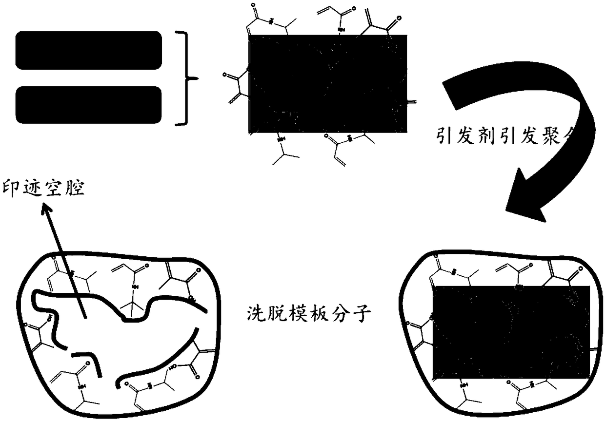 Preparation method of 3-hydroxybenzaldehyde adsorbent, product thereof and application of 3-hydroxybenzaldehyde adsorbent