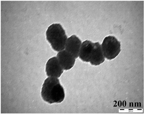 Preparation method of 3-hydroxybenzaldehyde adsorbent, product thereof and application of 3-hydroxybenzaldehyde adsorbent