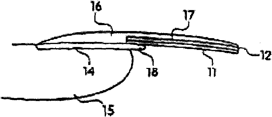 Artificial nails and method for manufacturing artificial nails