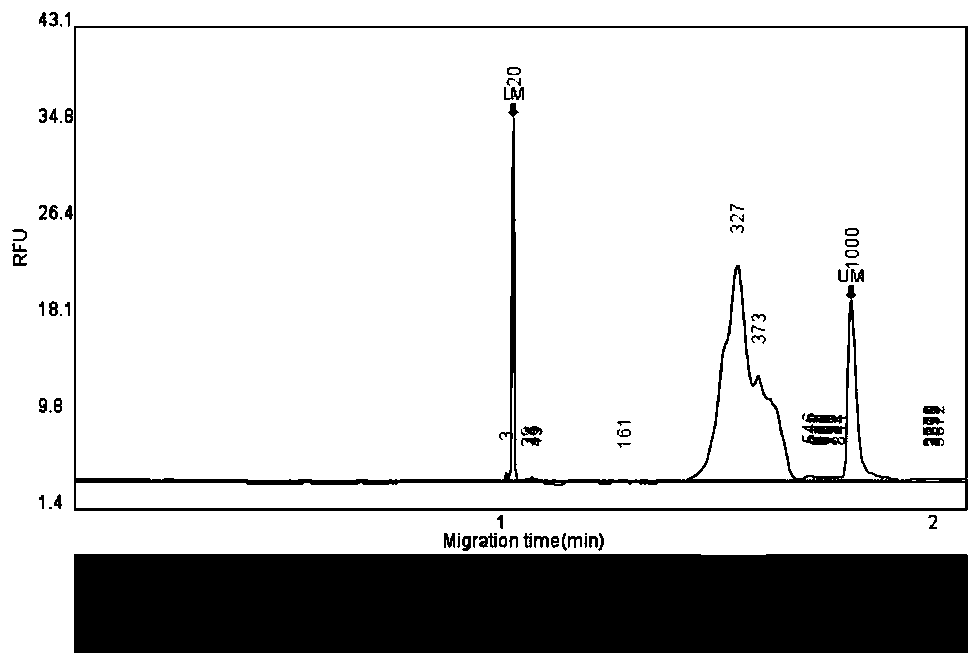 High-throughput str typing system and kit for identifying complex genetic relationships