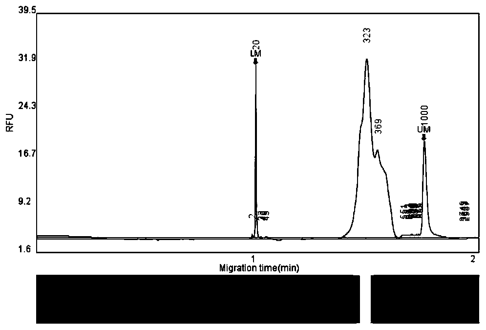 High-throughput str typing system and kit for identifying complex genetic relationships