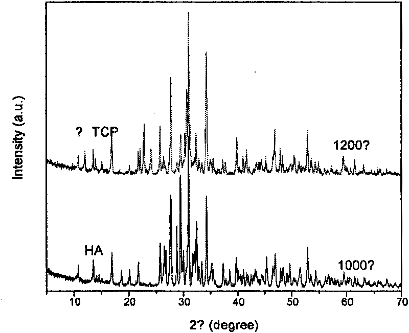 Biological activated carbon nano-fiber and preparation method thereof