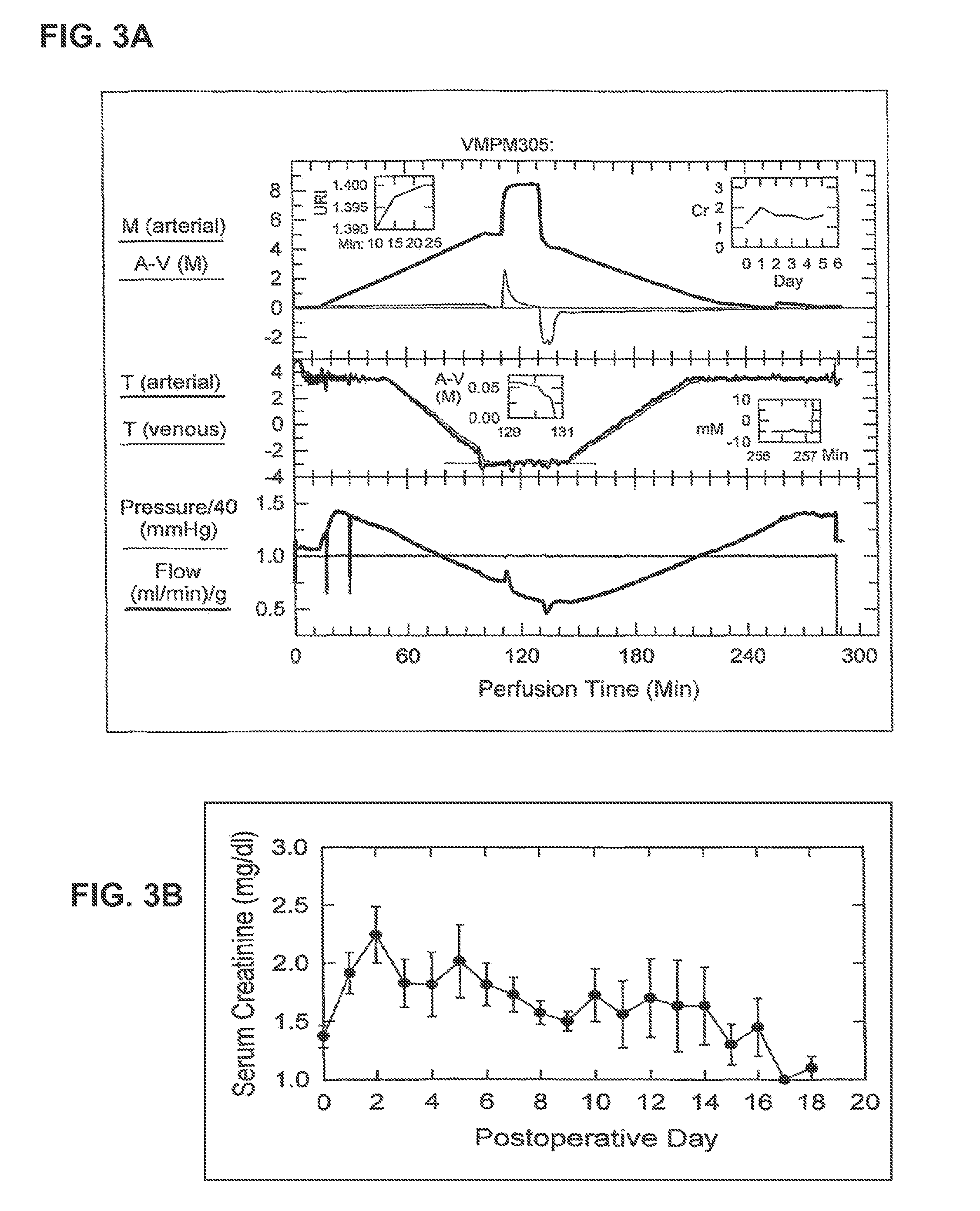 Methods and compositions for the cryopreservation of organs