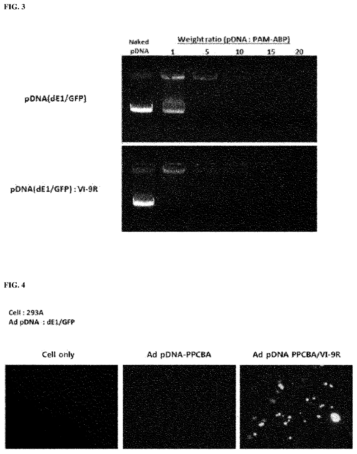 Composition for intracellular delivery containing adenovirus protein VI-derived peptide and anticancer pharmaceutical composition containing same