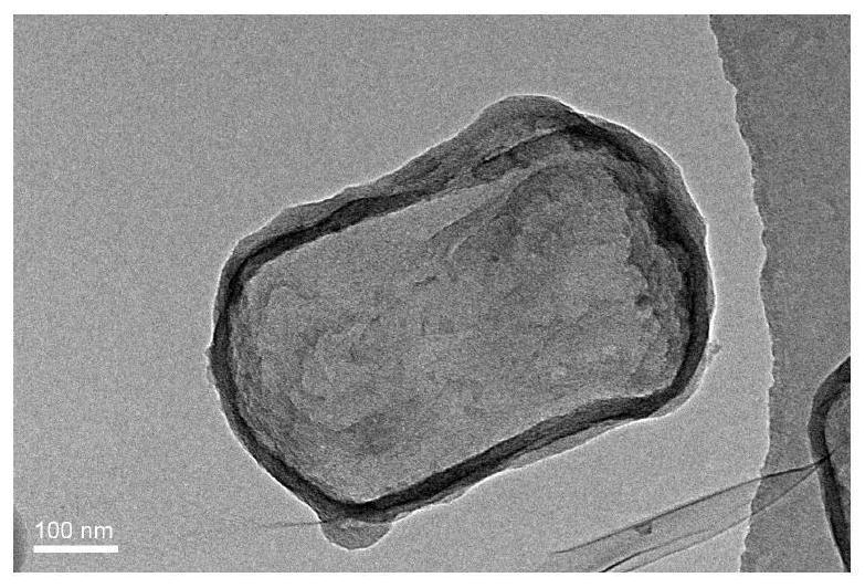 Preparation method of cylindrical titanium dioxide hollow particles