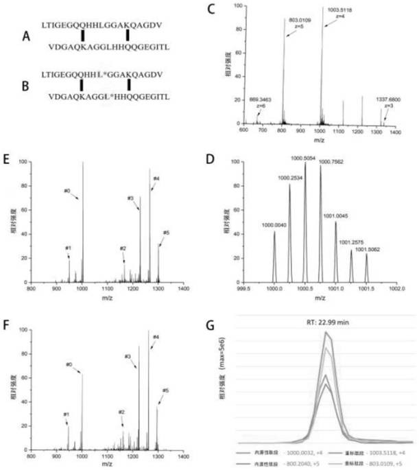 Method for realizing quantification of D-dimer in plasma based on immobilized metal ion affinity chromatography enrichment