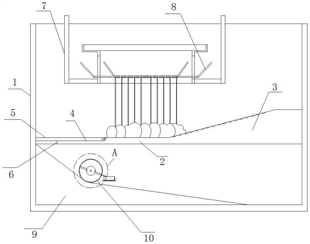 Leiocassis longirostris breeding tail water purification method