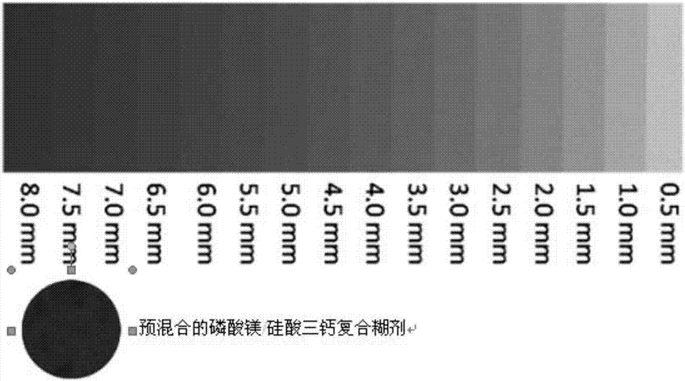 Pre-mixed calcium silicate/magnesium phosphate double-phase composite self-solidification root canal filling material and preparation method and application thereof