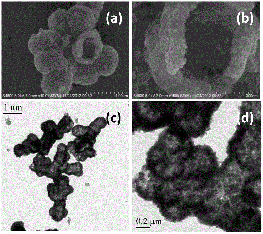 Method for preparing sea urchin shaped titanium dioxide hollow microsphere