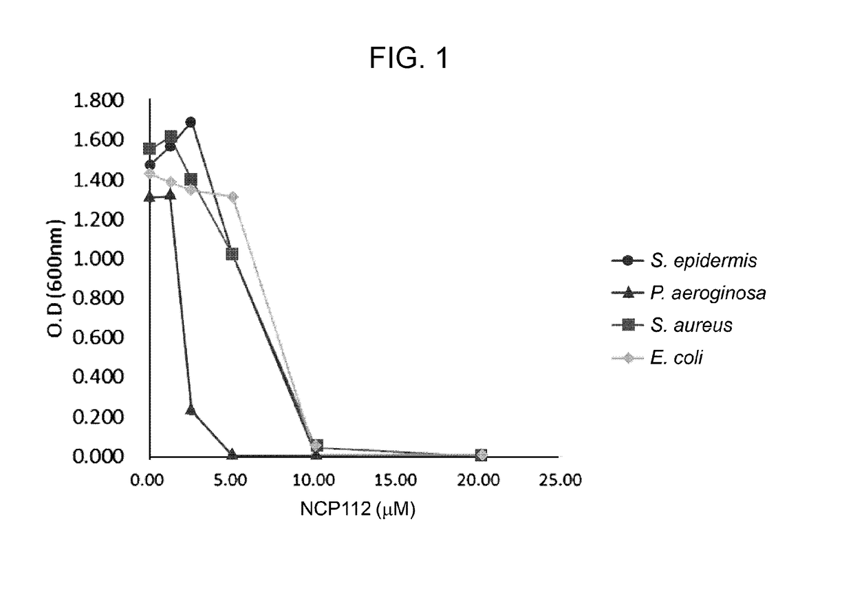 Novel antimicrobial peptide and use thereof