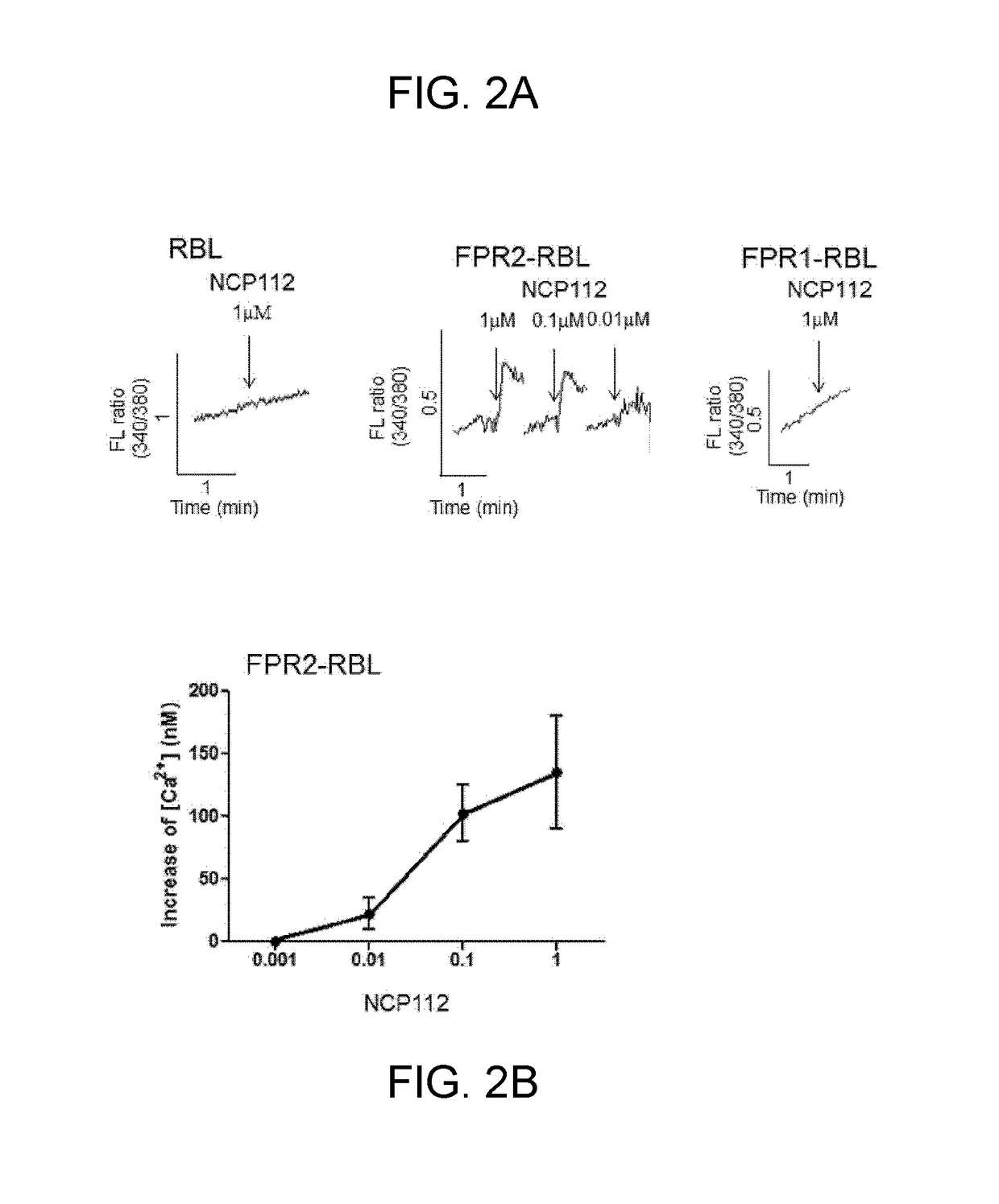 Novel antimicrobial peptide and use thereof