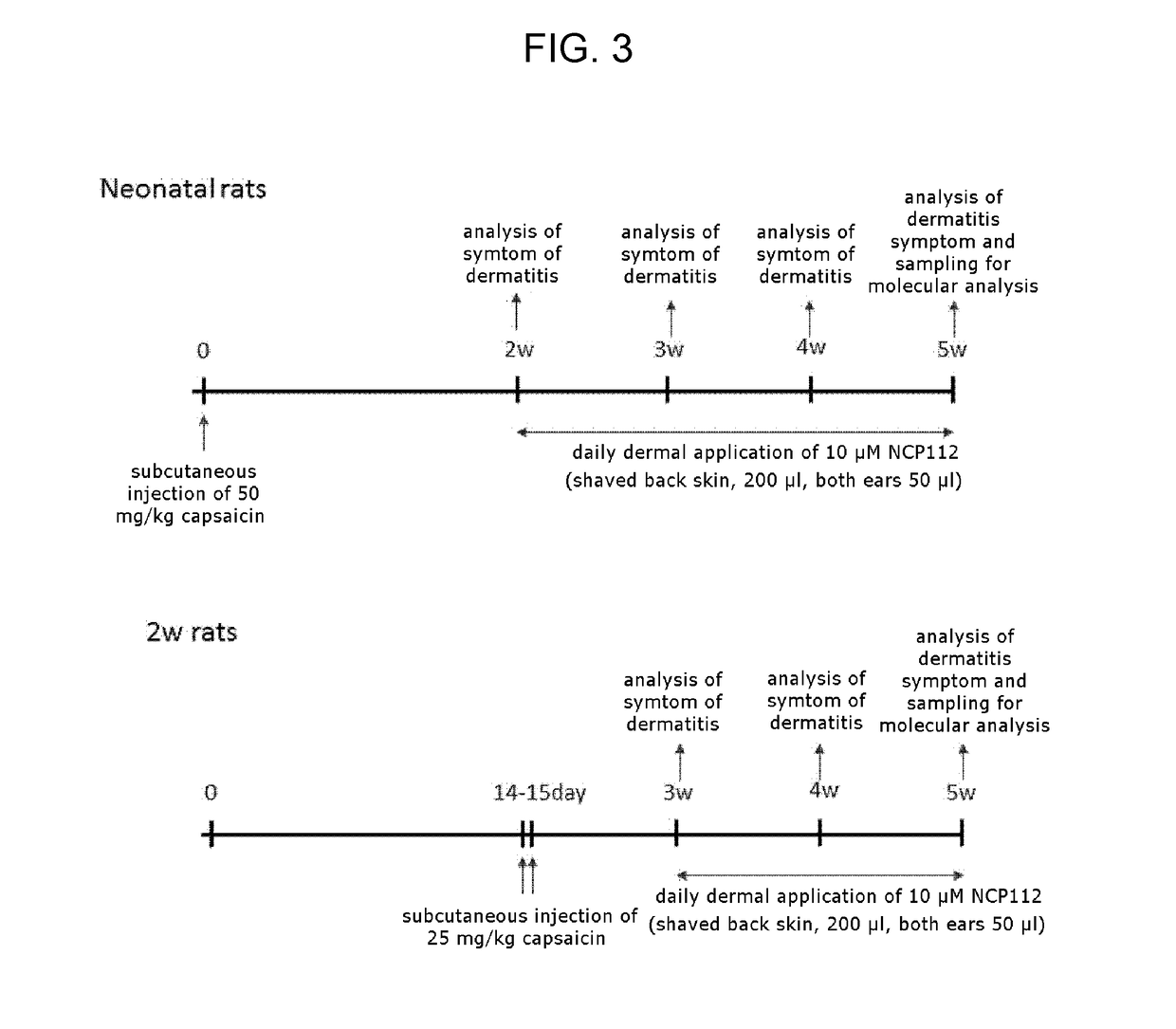Novel antimicrobial peptide and use thereof