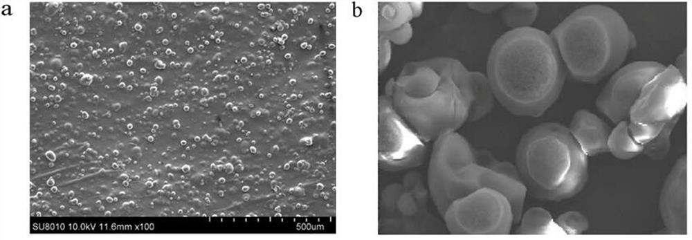 Low-cost high-strength full-biodegradable agricultural mulching film and in-situ reaction extrusion plasticizing compatibilization preparation process thereof