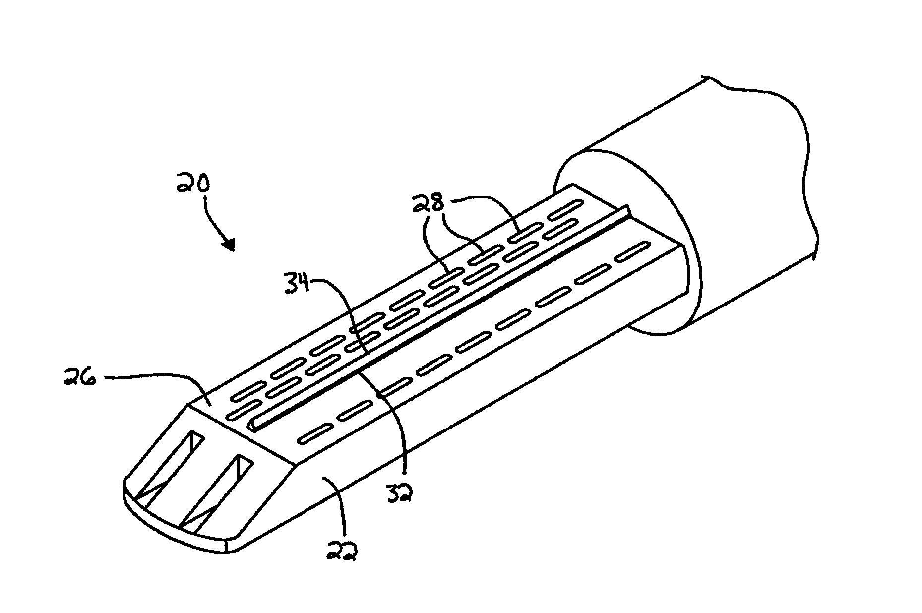 Apparatus and method for preserving a tissue margin