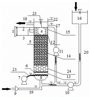 An electro-biological coupling water purification system and water purification method