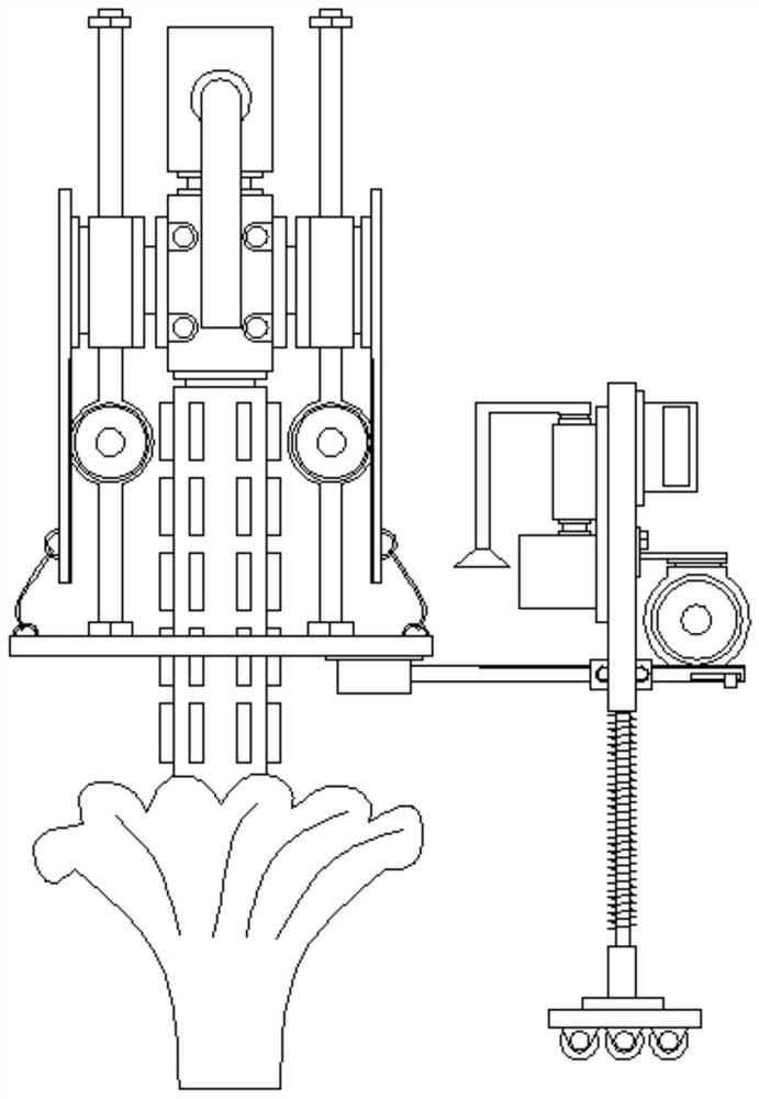 Plant protection device for municipal green belt