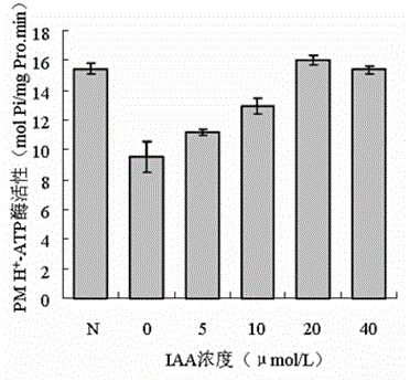 Application of auxin on aspect of improvement of air formaldehyde pollution purification by potted plant