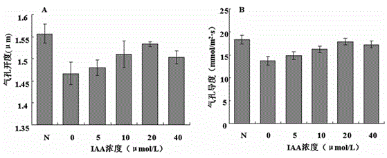 Application of auxin on aspect of improvement of air formaldehyde pollution purification by potted plant