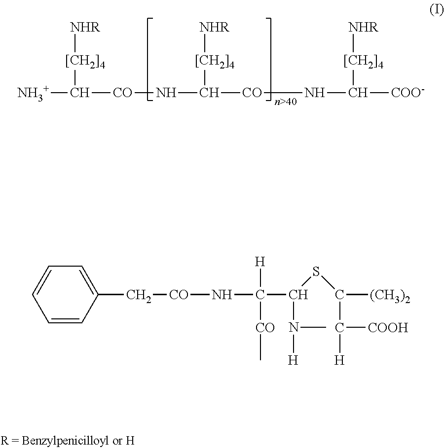 Kits and methods to detect penicillin allergy