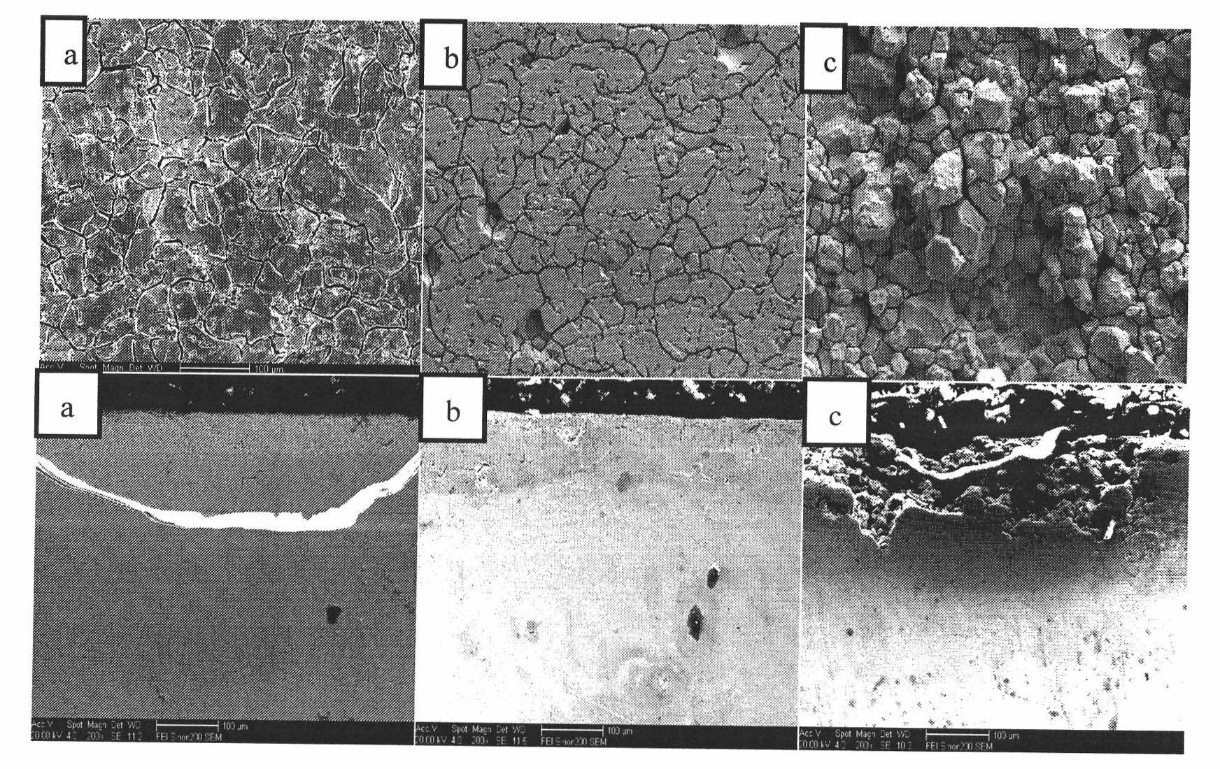 Corrosion-resistance optimizing treatment process for Cr-Ni type stainless steel and corrosion-resistant plate