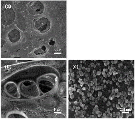 Preparation method and application of zero-valent nano-iron supported polyacrylonitrile membrane composite material