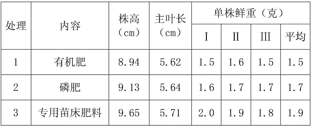 Seedbed fertilizer special for melon, fruit and vegetables and preparation method thereof