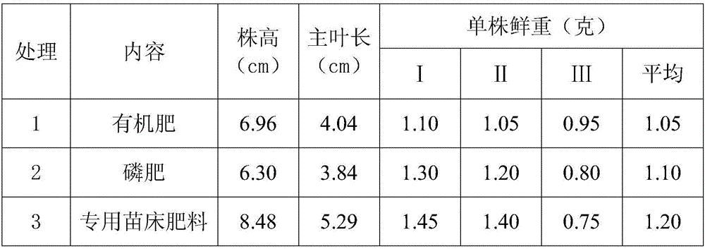 Seedbed fertilizer special for melon, fruit and vegetables and preparation method thereof