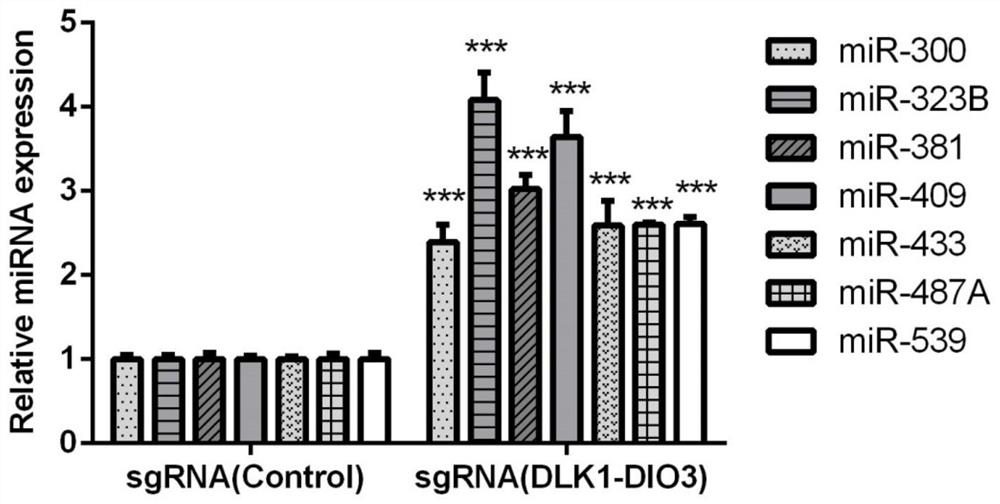 sgRNAs, recombinant plasmids, and cell lines for upregulating expression of human Dlk1-dio3 imprinted domain non-coding RNAs
