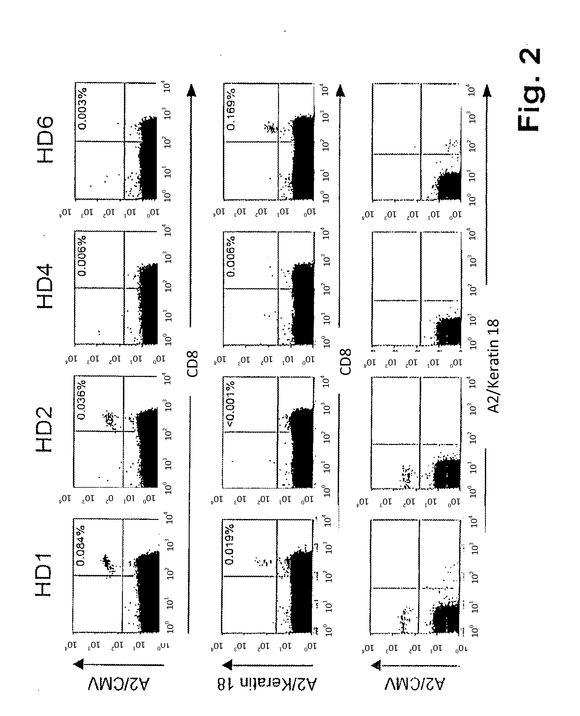 Method for identifying immunoreactive peptides