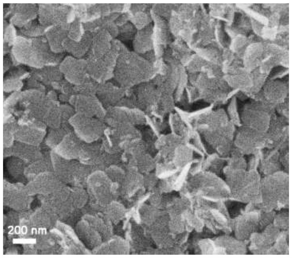 Preparation method and application of magnetic porous nickel nanosheets