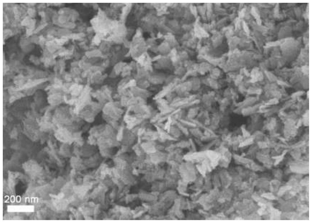 Preparation method and application of magnetic porous nickel nanosheets