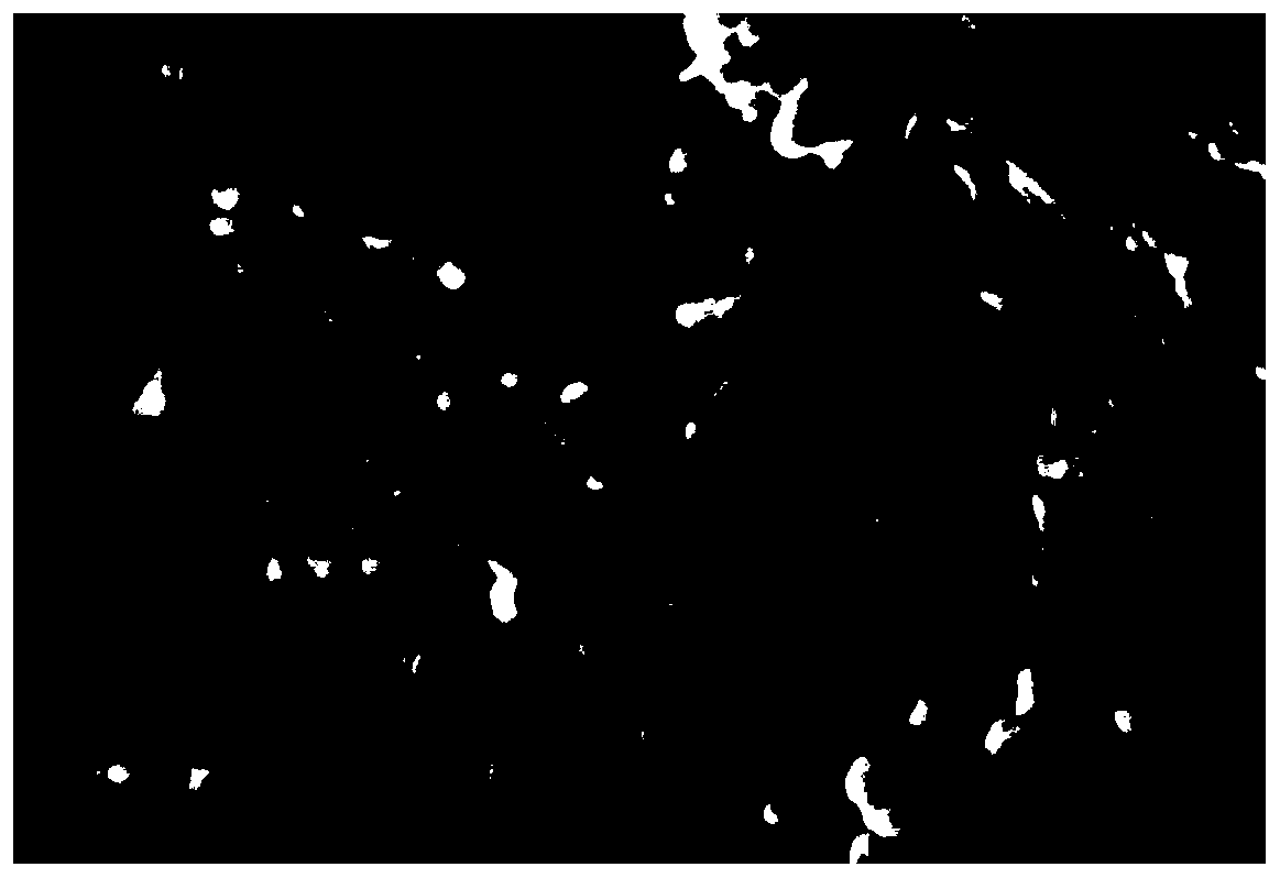 Membrane catalyst precursor, membrane catalyst, preparation methods therefor and application of membrane catalyst