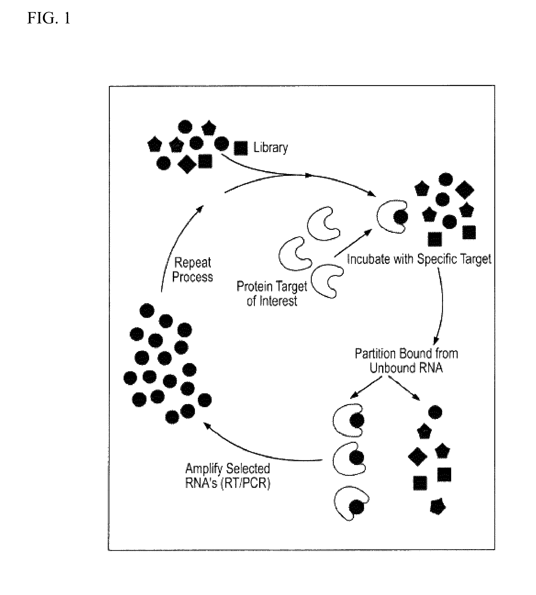 Nucleic acid modulators of glycoprotein VI