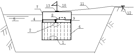 Epiphytic diatom culture and collection device