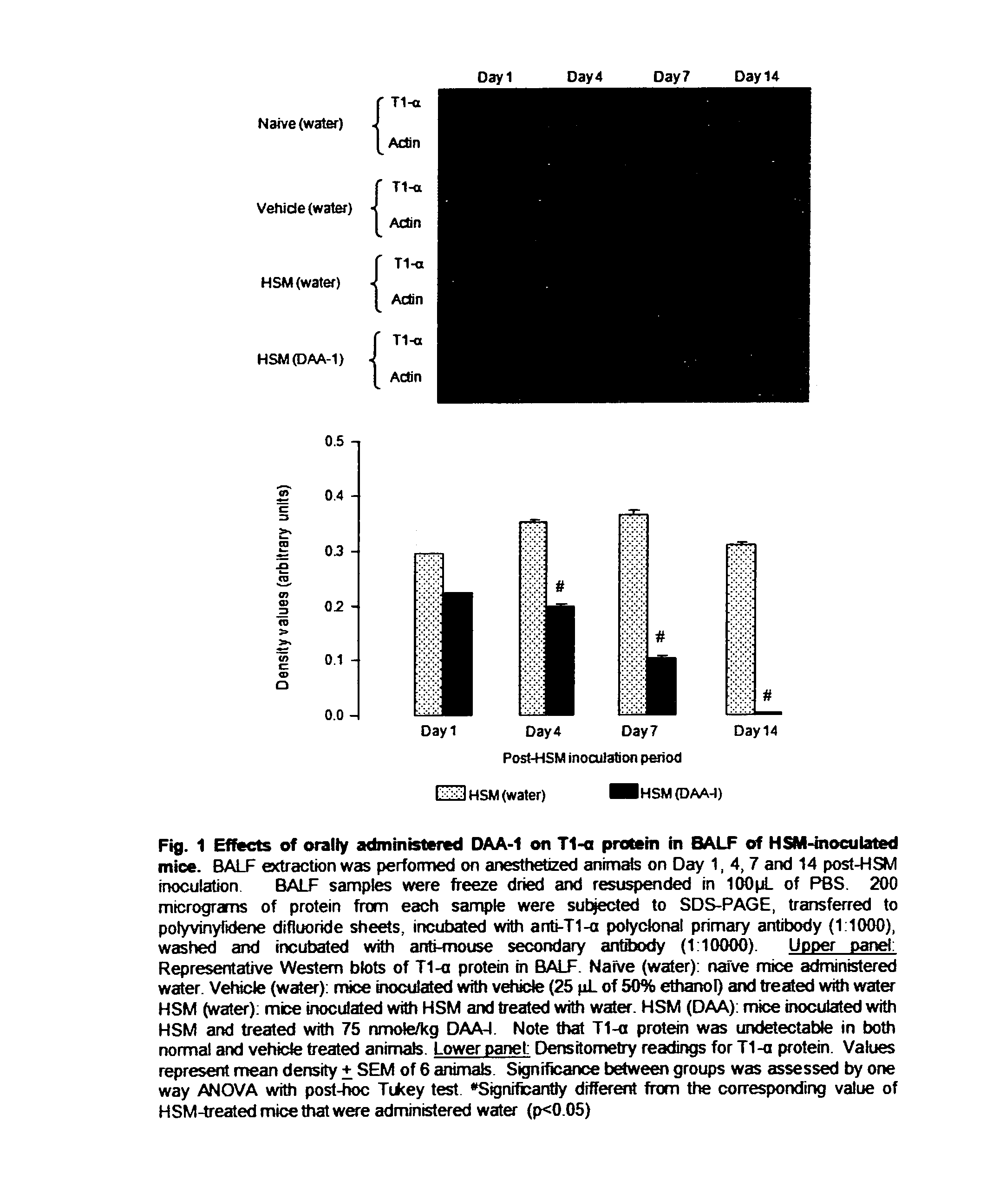 Use of des-aspartate-angiotensin I in inflammation-related pathologies and diseases