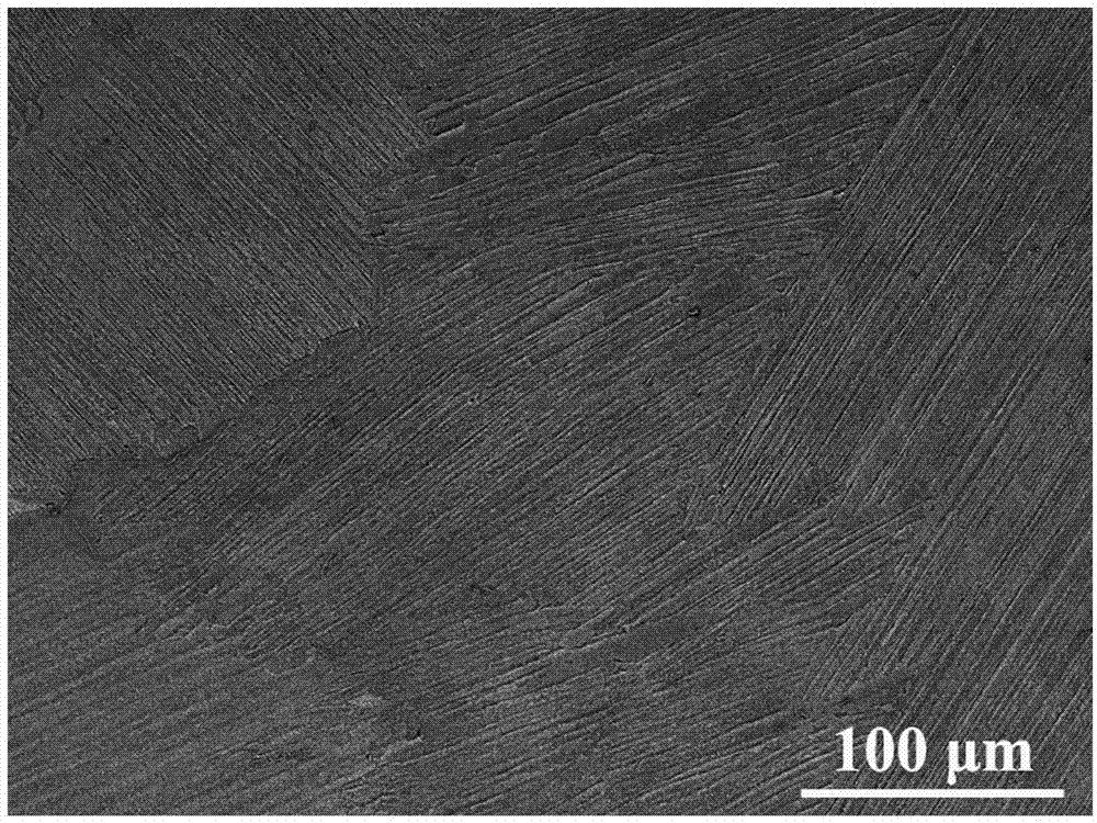 Heat-crack-resistant medium-niobium cast TiAl alloy with over-peritectic solidification characteristic