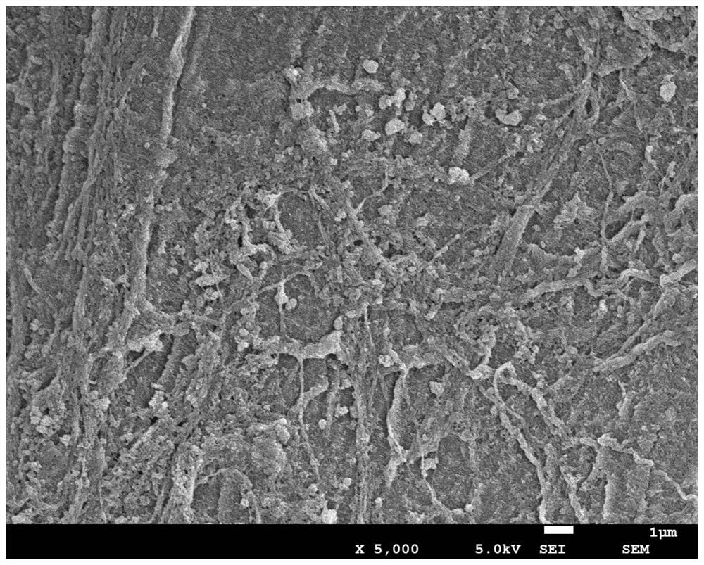 A hybrid doped polypyrrole paper-based flexible electrode material and its preparation method