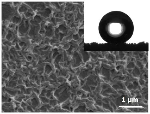 Method for preparing superhydrophobic polyurethane sponge by biomineralization method