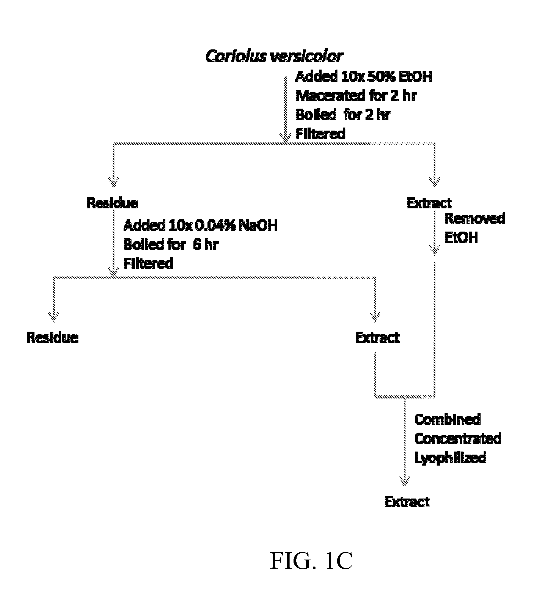 Coriolus versicolor extracts, methods of preparation and uses thereof