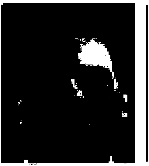 Face recognition method and system