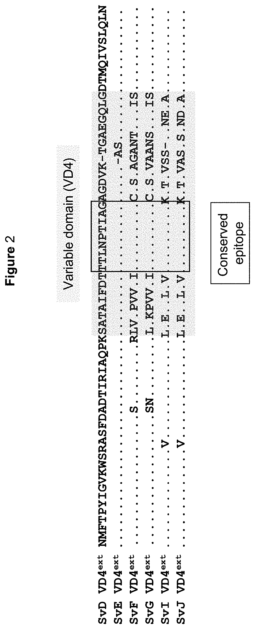 Vaccines against <i>Chlamydia </i>sp