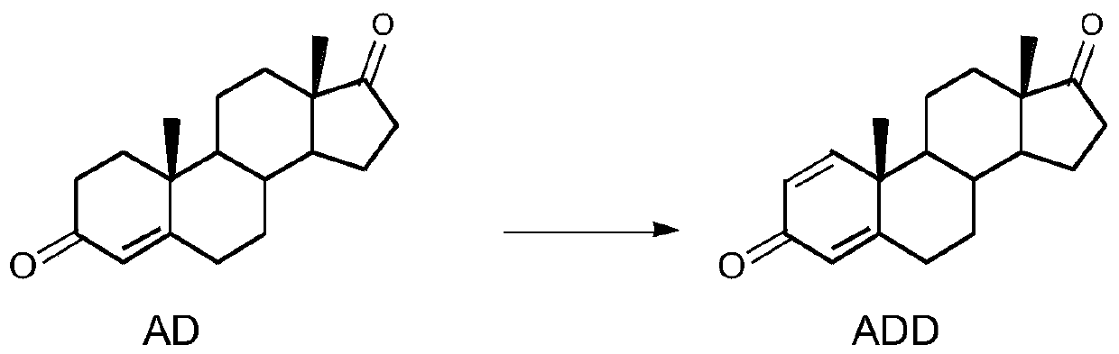 Biological dehydrogenation method of androstenedione C1 and 2 loci
