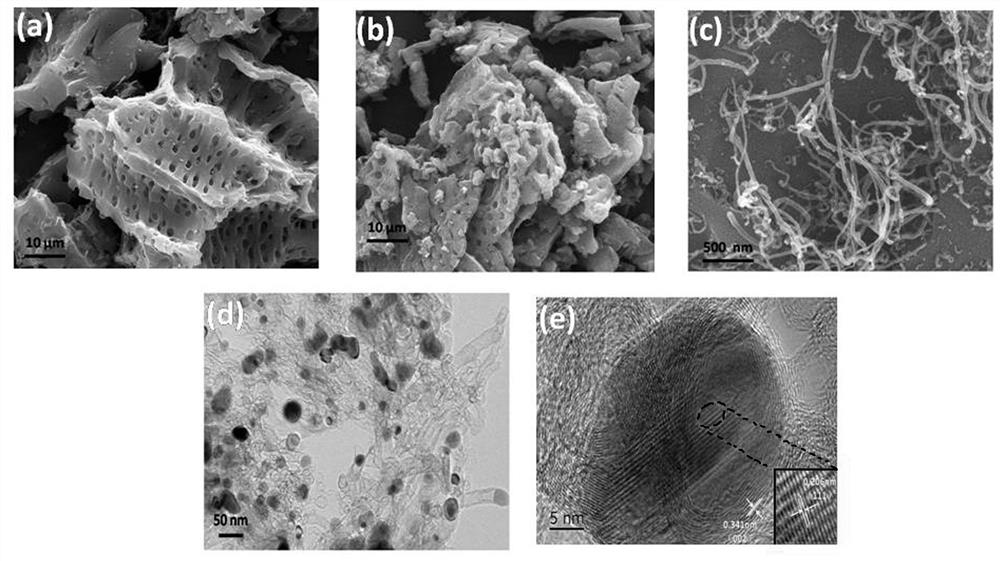 FeNi3 composite nitrogen-doped carbon nanotube bifunctional electrocatalyst prepared from biomass