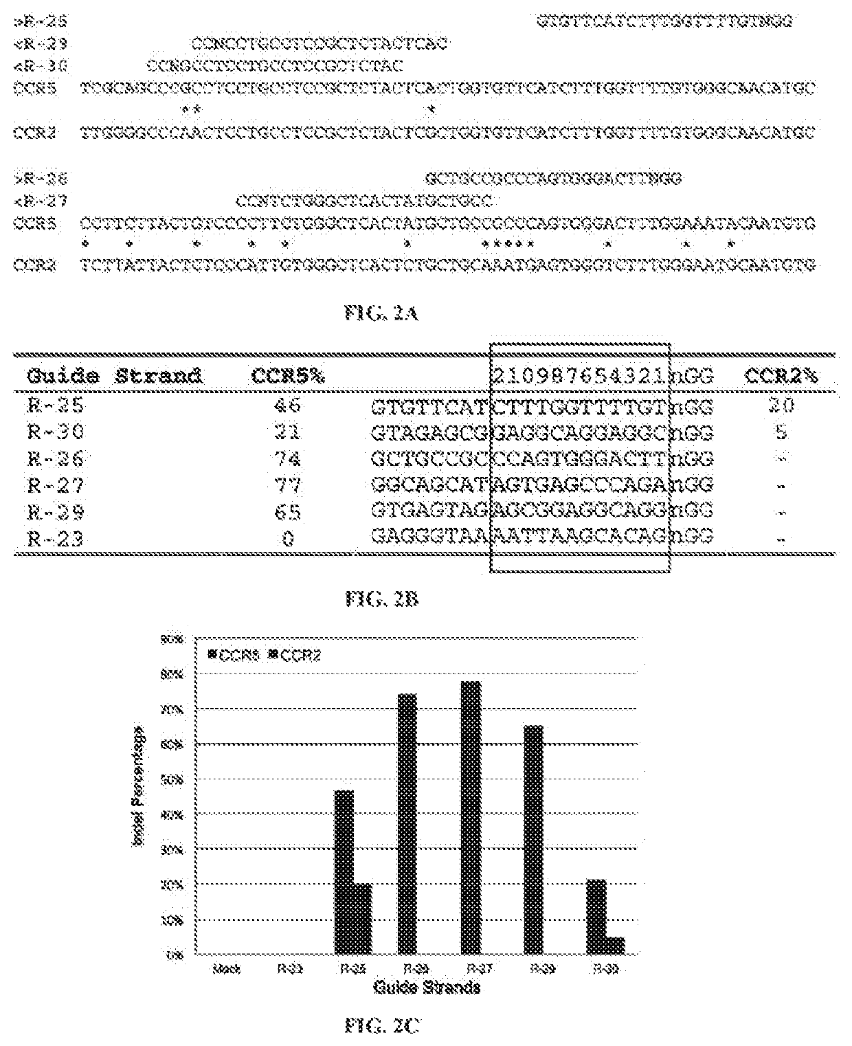 Methods and systems for identifying nucleotide-guided nuclease off-target sites